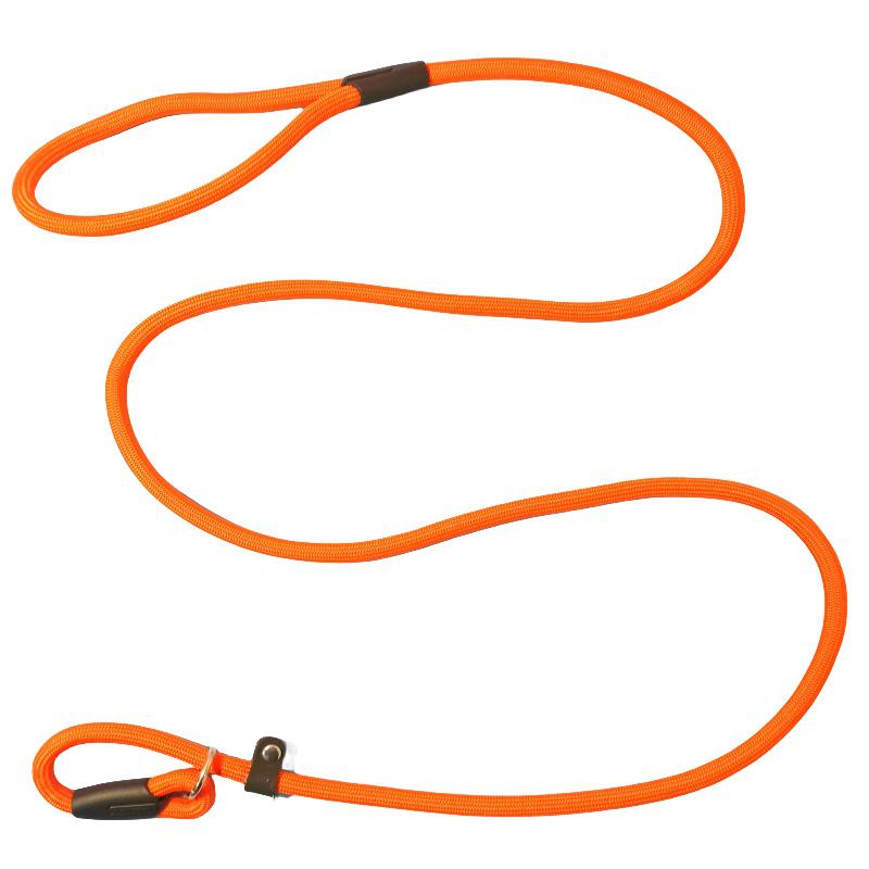 Small Dog Outdoor No-Pull Training Leash & Rope
