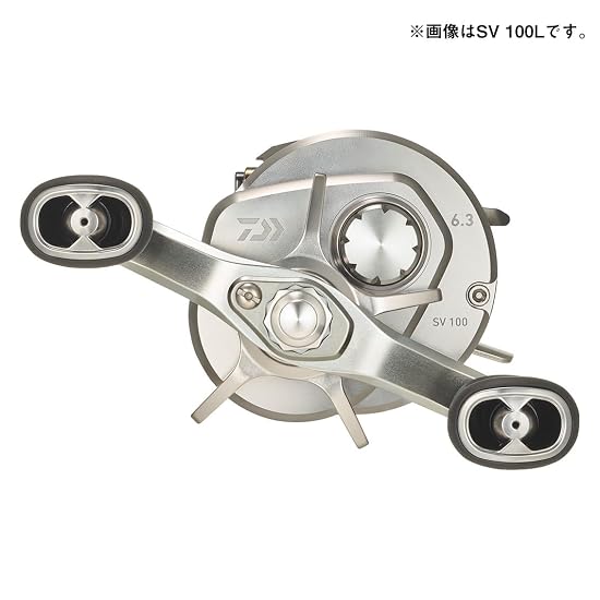 DAIWA Baitcasting Reel 26RYOGA SV 100