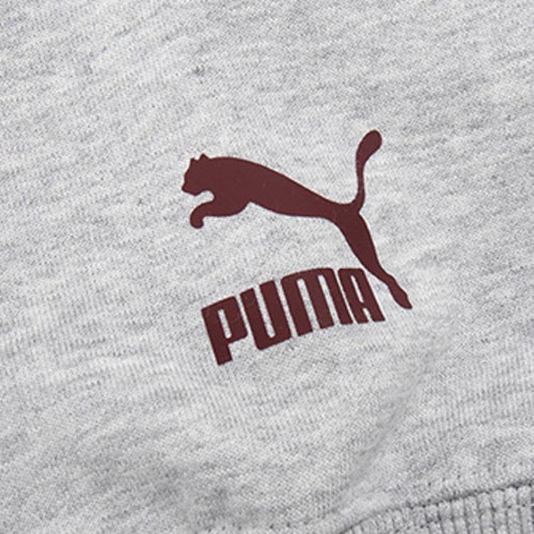 PUMA Winterized Series Kangaroo Pocket Print Hoodie Long Sleeve Sweatshirt Men Tops Grey 539274-04