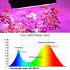 Full Spectrum LED Grow Light PhytoLamp For Plants Tent USB 5V Flower Seeding Switch Dimming Range Lamp Floodlight Grow Phyto Box