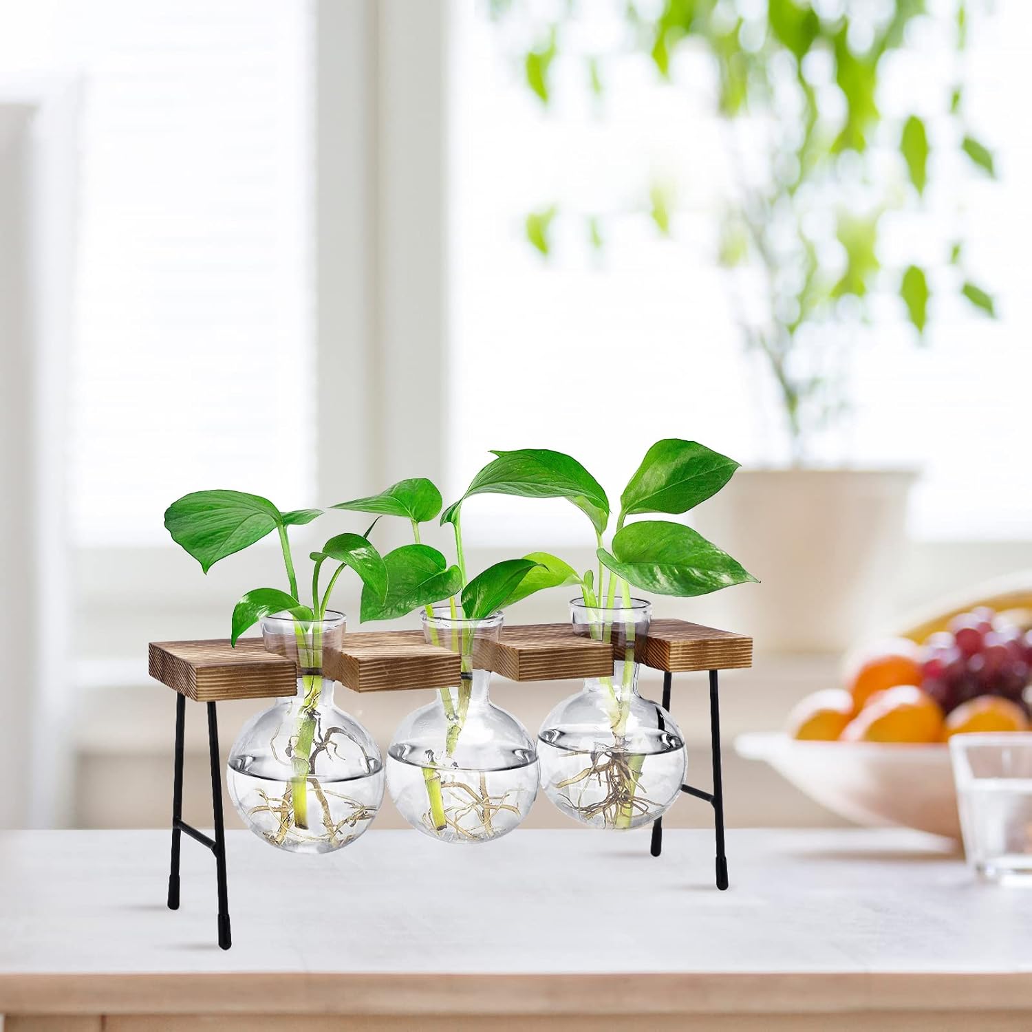 Propagation Station, 3 Pcs Bulb Vase Glass Plant Propagation Station Modern Desktop Glass Planter Hydroponic Table Top Planter Glass Flower Vases for