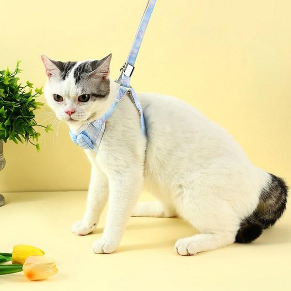 Pastel pet pet ribbon printed harness set, blue