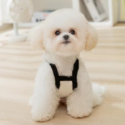 Niedliches Sommer dünnes zweibeiniges Teddybär kleiner Welpe Kätzchen Haustierkleidung Hund Katze Kleidung