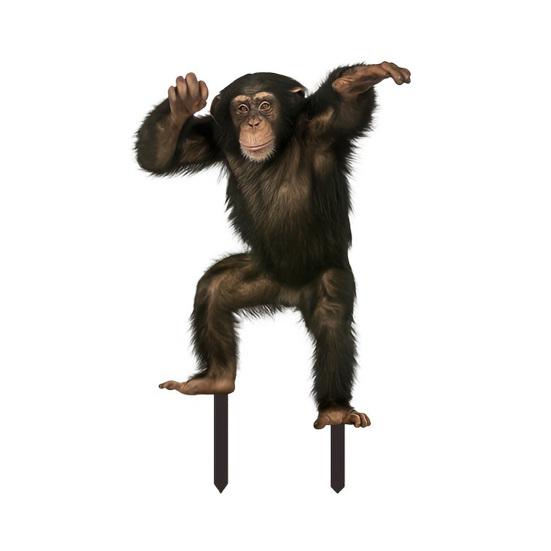 Acrylic Garden Stakes Fun Animal Lawn Signs Raccoon Gorilla Figurines Easy Insertion Garden Stakes for Flower Beds Landscape