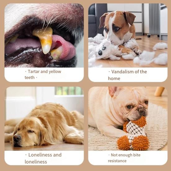 Water Bottle Dog Toy Squeaky Dog Chew Toys for Aggressive Chewers Interactive Plastic Water Bottle