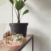 Garden Miniature Sweet House Cottage Flowerpot DIY Bonsai Pots for Succulents Plant Indoor Outdoor Tabletop Decoration