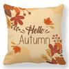 Thanksgiving Day Pattern Digital Printing Short Plush Pillow Covers for Car Sofa Office Cushion Cover Home Goods 60x60cm