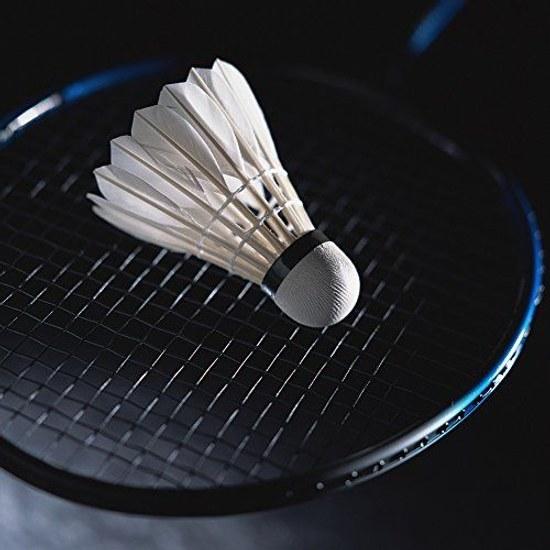 OUDE badminton model 200 12 pieces goose feather shuttlecocks stable durable sports training balls indoor outdoor games white.
