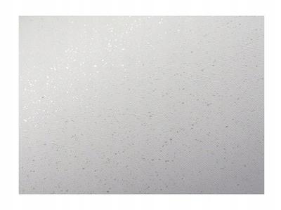 Decorative Mica Cardboard White 240G/M2 (20) 4611