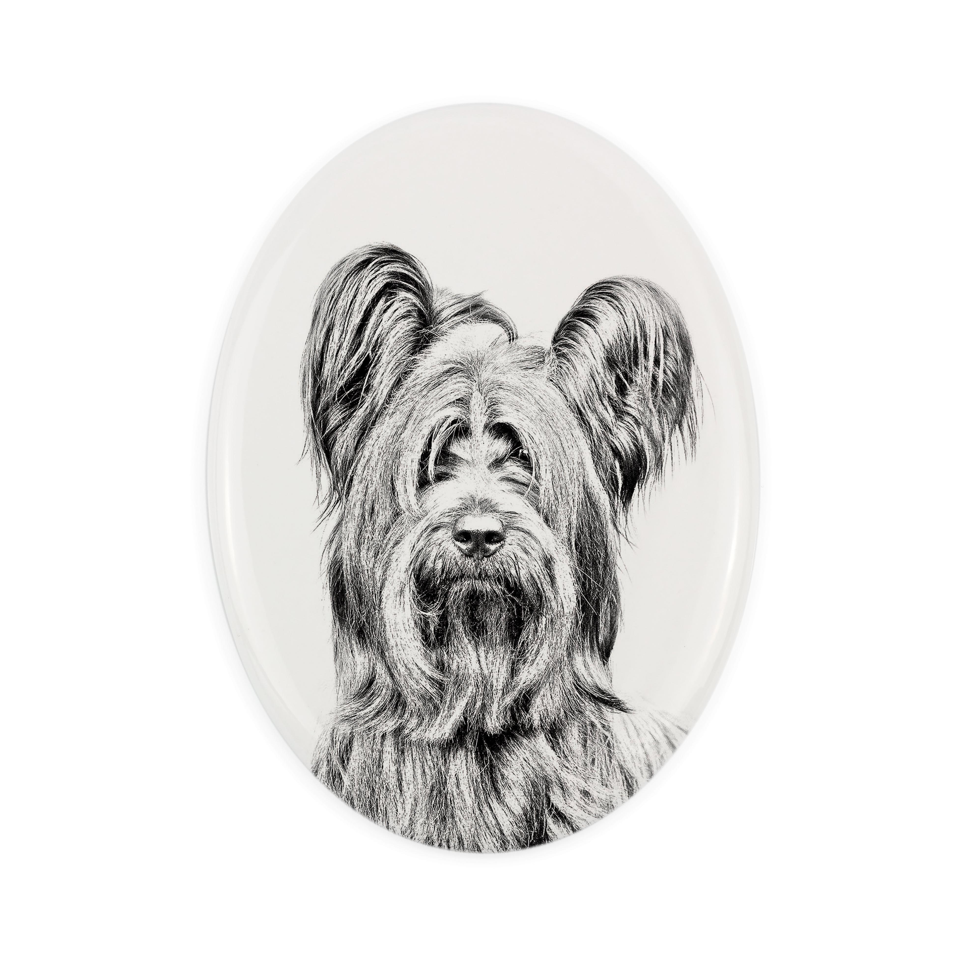 

Silky Terrier - commemorative plaque with a photo of a dog, tombstone with a print, personalized oval plaque from the Art-Dog brand білий