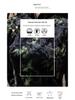 Exquisite 2025 New Chinese Cheongsam: Elegant Retro Dress for Women