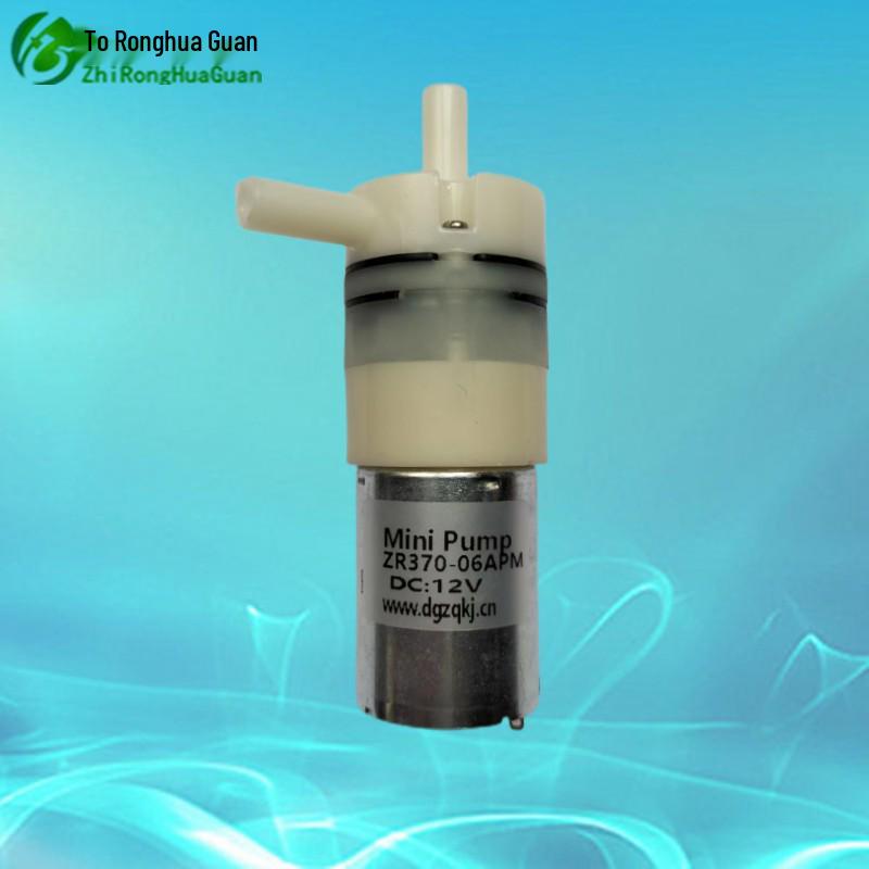 Ronghuaguan Miniature Diaphragm Self-Priming Water Pump 12V/24V DC