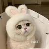 Pet Headgear, Starfish, Snapper Fish Hats, Piggy, Chick, Cat, Bear, Panda Headwear, Funny Costumes