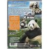 Dvd : baby panda, animaux en folie !