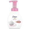 Foaming Hand Wash Bottle (Peach & Lily Scent) (240ML)