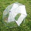 Umbrella Transparent Umbrella Automatic Transparent Tri Fold Umbrella