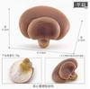 Realistic Artificial Shiitake and Models for DIY Crafts, Terrariums, Home Decor (15g)