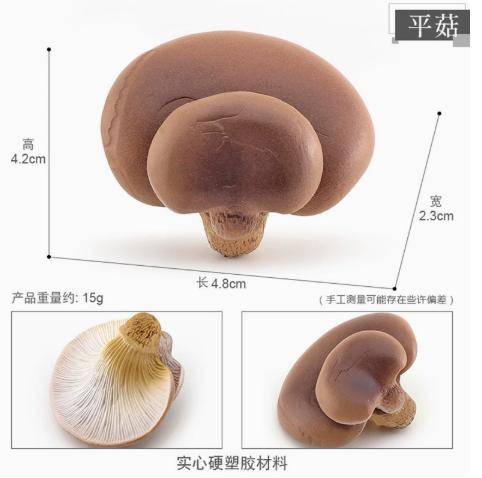 Realistic Artificial Shiitake and Models for DIY Crafts, Terrariums, Home Decor (15g)