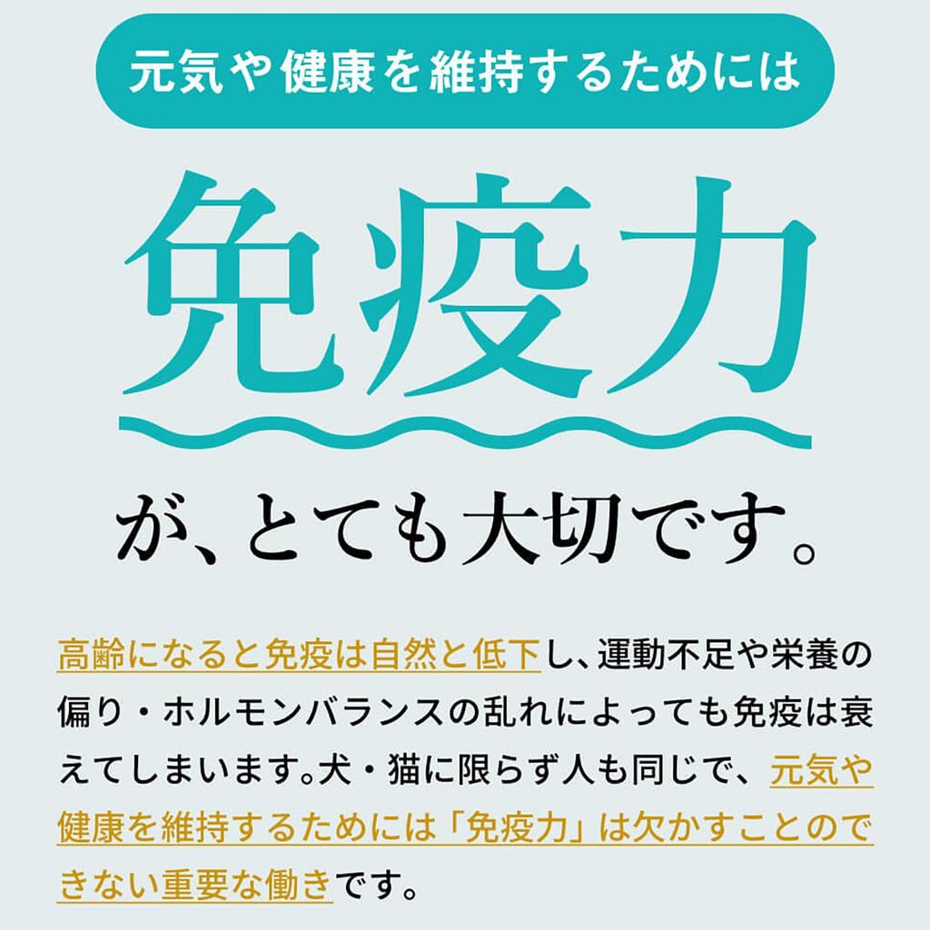 Cordy G 100g Suplement Wspomagający Odporność Krajowy Cordyceps Sinensis Ulotka w Zestawie Pies/Kot