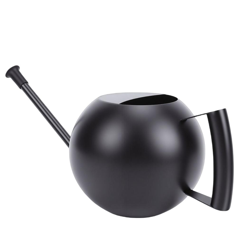 Watering Can for Outdoor Indoor Plants, Small 1000ML Stainless Steel Watering Pot with   Spout, Removable Nozzle, Metal Water Can for House Plant