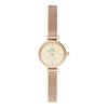European and American Watches Watch Quartz Movement Stainless Steel Strap 19MM Gold Dial Women's Watch Gift Box DW00100741