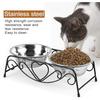 Pet Bowl, Stainless Steel Double Cat Dog Waterer Bowls Elevated Dog Feeder Pet Food Water Bowls with Retro Iron Stand Double Diner Feeder Bowls