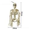 Human Skeleton Party Dressing Terrifying Appearance Simulation Plastic Home Decoration Halloween Interesting Decorative Props