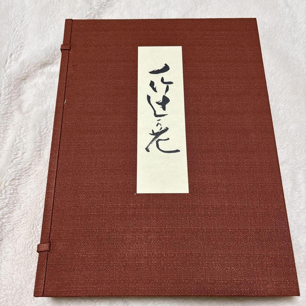 [USED] Ichitake Tsujigahana