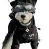 Trendy Pet Windbreaker: Warm Autumn/Winter Clothes for Small Dogs & Cats (Teddy, Bichon, Schnauzer, French Bulldog)