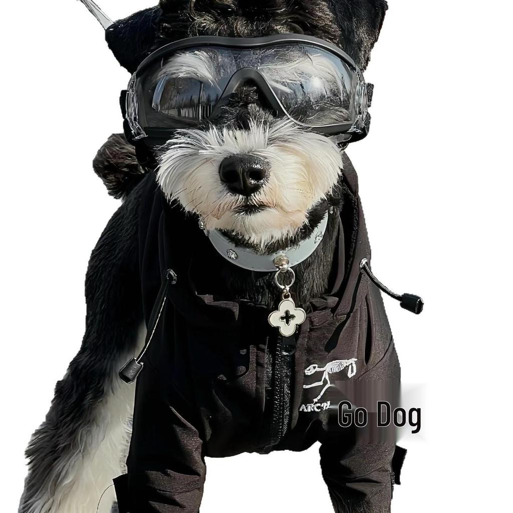 Trendy Pet Windbreaker: Warm Autumn/Winter Clothes for Small Dogs & Cats (Teddy, Bichon, Schnauzer, French Bulldog)