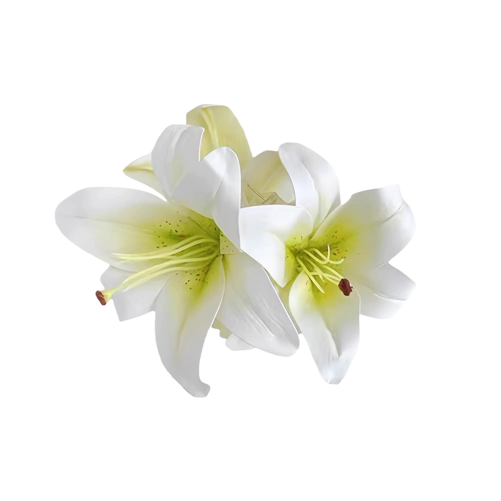 

Элегантный цветочный зажим-краб для волос для женщин и девушек, надежная фиксация, аксессуар для укладки, пластиковое украшение для волос для свадебной вечеринки белый