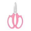 Stainless Steel Pruning Shears Flower  Horticulture Potted Plants Pruning Shears Flower Pruning Shears Garden Tools