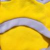 Winter Pet Vest Colar Fleece Pet Clothing for Small Medium Dogs Cats Outdoor Wear Puppy Warm Outfit
