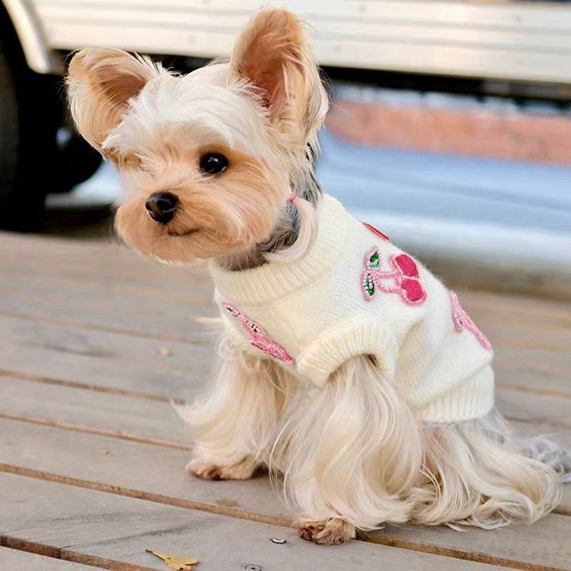 Kleiner Hund Teddy Pullover Malteser Frucht-Print Kleidung Haustier Niedlich Kirsch-Print Winter Warme Kleidung Niedlich Prinzessin Haustier Hund Katze Pullover
