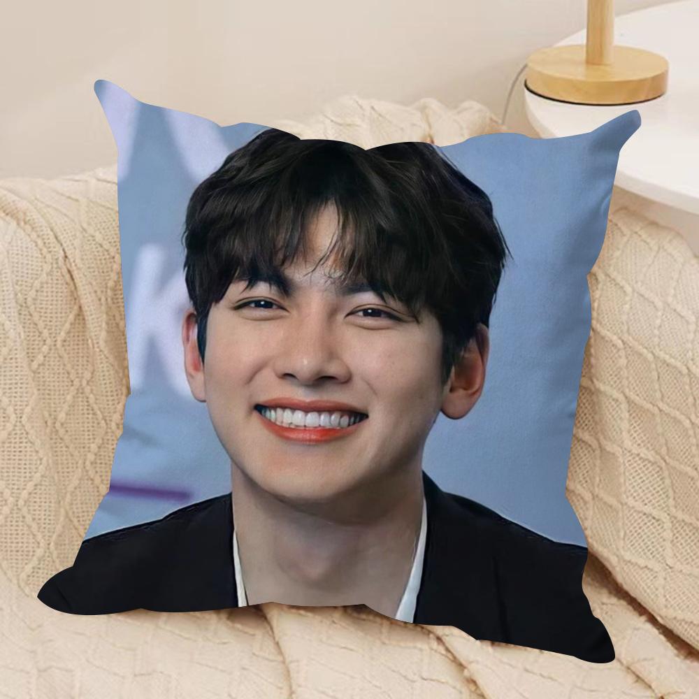 JJi CChang Wook Cushion Cover Silky Short Plush DoubleSided Printed Pillow Case for Sofa All Seasons Home Decor Gift