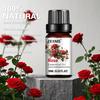 Rose Essential Oil 100% Pure Natural - for Sleep, Relax, Skin Moisturizing Care & Aromatherapy