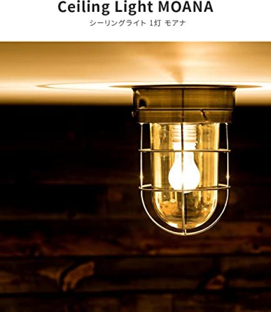BELLED Moana Marine Ceiling Single LED for and Antique Light, Light, Compact, Stylish, Compatible, Entryways, Bedrooms, Bathrooms, Hallways, Gold,