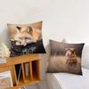 Cute Wild Fox Pillow Case Fashion Square Pillowcase Bedroom Sofa Room Ins Decoration Leisure Cushion Cover 40x40