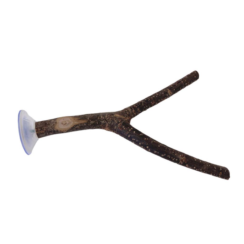 3pack Durability Bird Stand Wood Bird Perches Stand Pole Pet Bird Training Tool Bird Cage Accessories Pet Toy