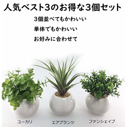 Mini Artificial Greenery Set of 3: Eucalyptus, Air Plants, and Fan-Shaped Greenery