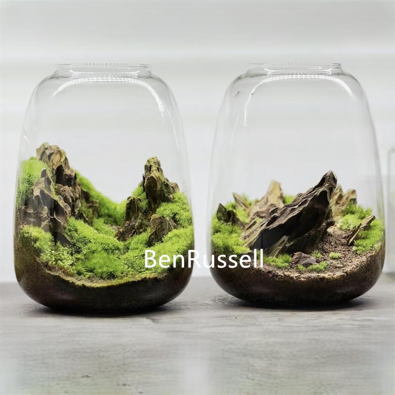 Mikrolandschaft Ökologische Moosgrüne Pflanzen Glasflasche Dekorationsvase Hydrokultur Moospflanze Landschaftsgestaltung Glasbehälter