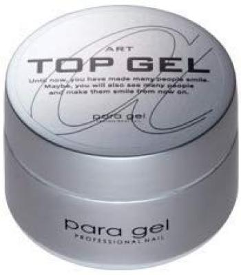 

para gel Art Top Gel 10g
