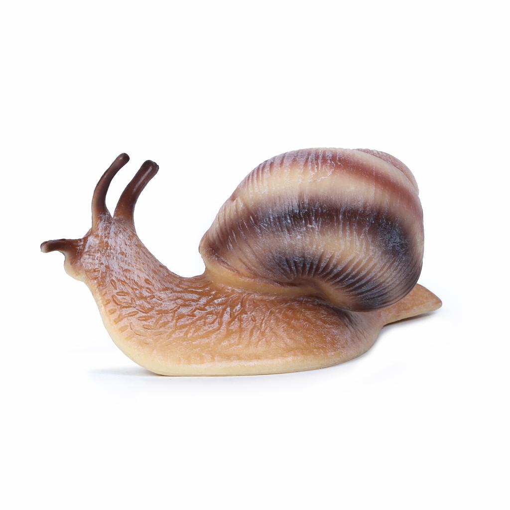 Realistic Snail Action Figure Toy - Collectible Animal Model, Educational Kids Gift