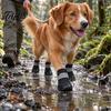 Winter Warm Boots for Outdoor Walking Waterproof Dog Shoes Small Medium and Large Dogs, Non-Slip Oxford Cloth Easy Wear Booties Muddy Paths