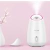 Cat Ear Nano Facial Steamer for Hydration and Pore Care