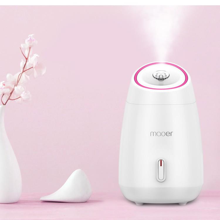 Cat Ear Nano Facial Steamer for Hydration and Pore Care