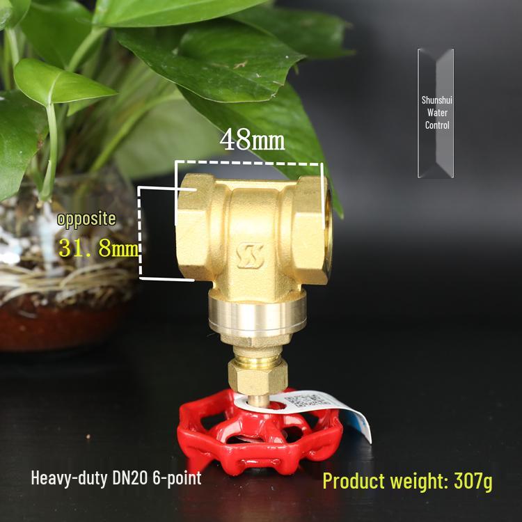 Brass Gate Valve for Water Meters with Thickened Silk Thread and PPR2 Double Hot Melt (4-6 Points)