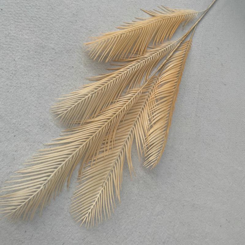 Texture Foliage Fern For Indoor Decoration Wedding Photography Props Gift