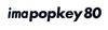Ima Popkey 80 Pencil Floating Lure X5569 (7457)