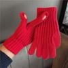 Windproof Full Finger Gloves Solid Color Cycling Mittens Winter Women's Knitted Gloves